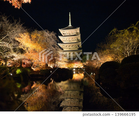 京都東寺：秋葉在五重塔上被燈光照亮，映照在池塘中－夜景 139666195