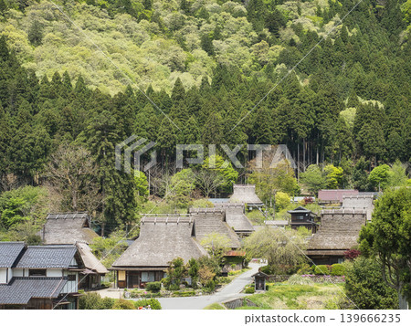 京都府宮山茅吹之鄉：春天從山頂眺望茅草屋頂的村莊和鬱鬱蔥蔥的綠色植物。 139666235