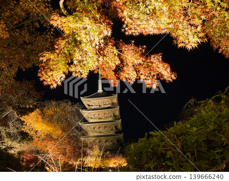 京都東寺：五重塔在秋葉掩映下燈火輝煌－秋夜景色。 139666240