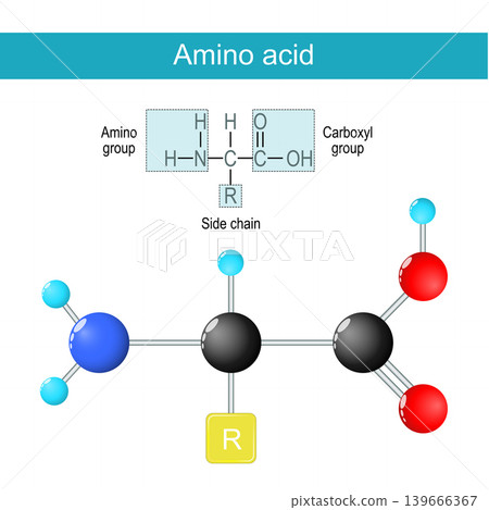 Amino acid molecule. Molecular chemical structural formula and model Amino acid molecule. Molecular chemical structural formula and model 139666367