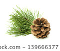 Festive fir branches and cones arranged naturally, isolated on white with shadow in a Christmas composition for design use. 139666377