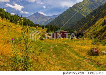 Tranquil Mountain Landscape with Horse and Rustic Cabin Tranquil Mountain Landscape with Horse and Rustic Cabin 139666448