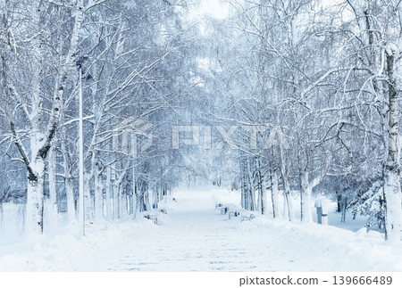 Atmospheric winter landscape with snowy trees. 139666489