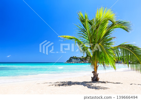 Minimal tropical beach scene with a single palm tree, white sand and turquoise ocean in Punta Cana, Dominican Republic. Minimal tropical beach scene with a single palm tree, white sand and turquoise ocean in Punta Cana, Dominican Republic. 139666494