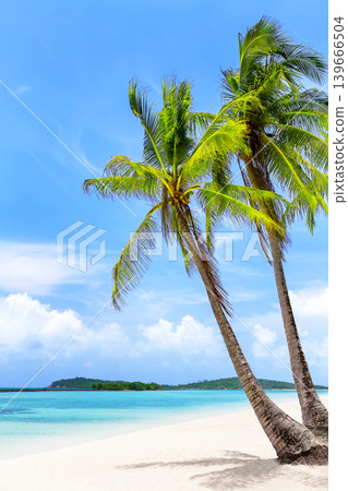 Vertical tropical beach view with leaning palm trees, white sand, turquoise water and clear blue sky on Koh Samui, Thailand. Strong commercial image for travel, summer vacation and resort advertising. Vertical tropical beach view with leaning palm trees, white sand, turquoise water and clear blue sky on Koh Samui, Thailand. Strong commercial image for travel, summer vacation and resort advertising. 139666504