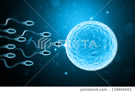 Microscopic view of Sperm and egg cell Microscopic view of Sperm and egg cell 139666661