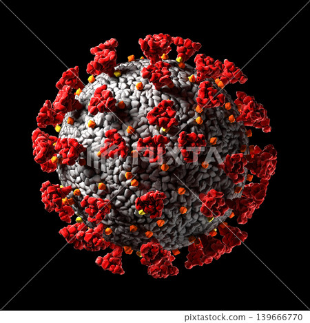 Hantavirus 2026. Andes virus close up 139666770