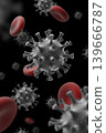 Hantavirus 2026. Andes virus close up 139666787