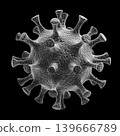 Hantavirus 2026. Andes virus close up 139666789