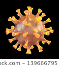Hantavirus 2026. Andes virus close up 139666795