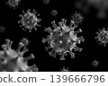 Hantavirus 2026. Andes virus close up 139666796