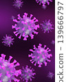 Hantavirus 2026. Andes virus close up 139666797