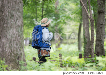 A woman enjoying a healthy outdoor lifestyle, walking and taking in the scenery of a lush green forest while hiking and climbing (faceless). A woman enjoying a healthy outdoor lifestyle, walking and taking in the scenery of a lush green forest while hiking and climbing (faceless). 139666821