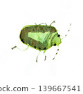 A cute ink painting illustration of a single insect, depicting the side view of a stink bug, a smelly green pest that appears in large numbers. 139667541