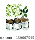 Hand-drawn calligraphy illustration of edamame and sweet potatoes grown in bags on a balcony for self-sufficiency in preparation for a disruption in logistics. 139667545