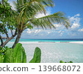 Panorama of Tropical beach with Coconut palm trees and water villas. Tropical landscape of summer scenery, white sand with palm trees. Luxury travel vacation destination. Exotic beach landscape. 139668072