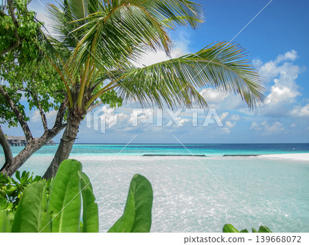Panorama of Tropical beach with Coconut palm trees and water villas. Tropical landscape of summer scenery, white sand with palm trees. Luxury travel vacation destination. Exotic beach landscape. Panorama of Tropical beach with Coconut palm trees and water villas. Tropical landscape of summer scenery, white sand with palm trees. Luxury travel vacation destination. Exotic beach landscape. 139668072