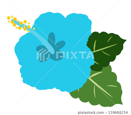 一幅簡潔的淺藍色芙蓉花插圖。 139668254