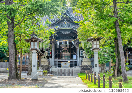 通往日枝神社的道路和被綠樹環繞的神社建築 139668433