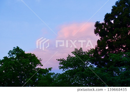 我在森林裡看到的日落天空 我在森林裡看到的日落天空 139668435