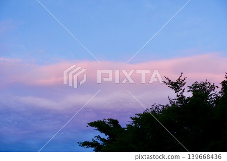 日落天空和木頭剪影 日落天空和木頭剪影 139668436