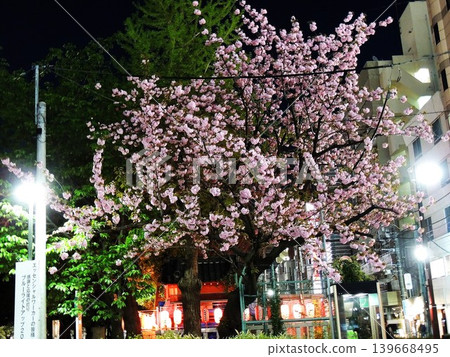 Kinshi Park at night Kinshi Park at night 139668495
