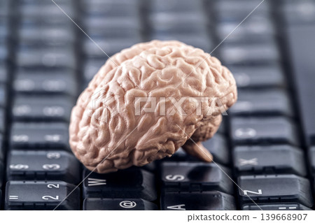 Human brain model on black computer keyboard. Artificial Intelligence, advanced technology or digital thinking concept. Human brain model on black computer keyboard. Artificial Intelligence, advanced technology or digital thinking concept. 139668907