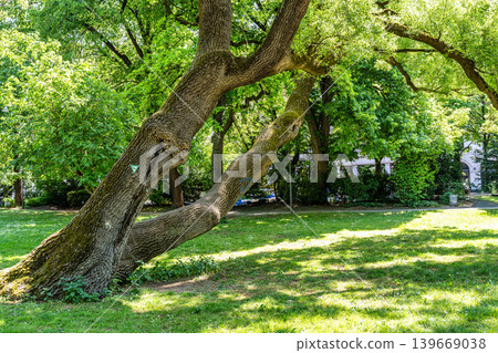 Spring view of Maximiliansplatz square in the center of Munich, Germany. 139669038