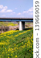 A landscape with rapeseed flowers and a bridge. 139669059