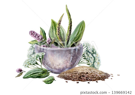 Plantain, yarrow, mint and dill seeds in mortar watercolor. Botanical illustration for digestive system medicine packaging, stomach health wellness tea branding, gastrological remedy design Plantain, yarrow, mint and dill seeds in mortar watercolor. Botanical illustration for digestive system medicine packaging, stomach health wellness tea branding, gastrological remedy design 139669142