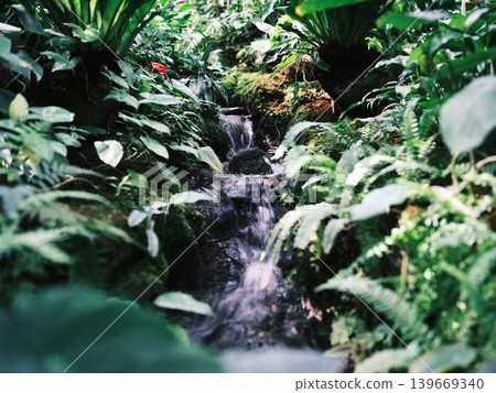 Yuushien Waterfall Yuushien Waterfall 139669340