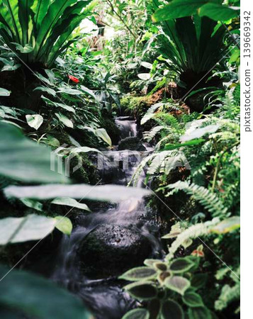Yuushien Waterfall Yuushien Waterfall 139669342