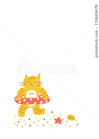 一隻虎斑貓在夏日沙灘上奔跑－可愛的動物夏日素材 139669476