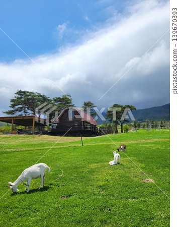 A landscape of lush green highland pastures and goats, with a clear blue sky and mountain scenery in early summer. 139670393