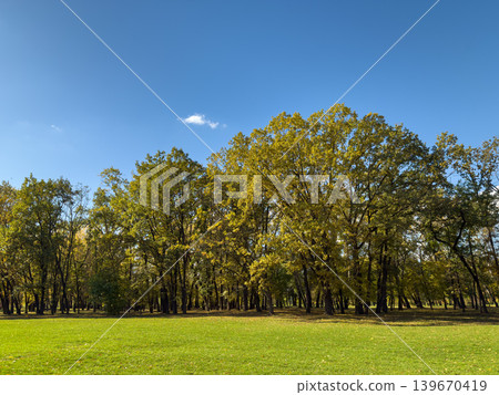 Wide Green Lawn Golden Trees Clear Blue Sky Wide Green Lawn Golden Trees Clear Blue Sky 139670419