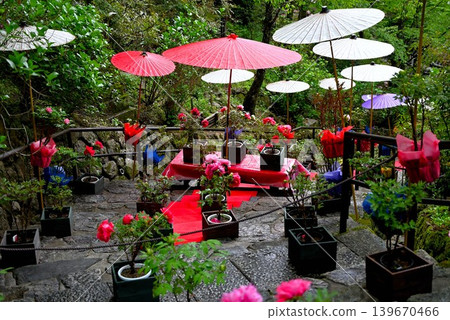 The Peony Corridor of Hase-dera Temple The Peony Corridor of Hase-dera Temple 139670466