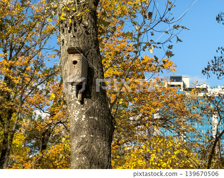 Wooden Birdhouse Autumn Trees Modern Building Sky Wooden Birdhouse Autumn Trees Modern Building Sky 139670506