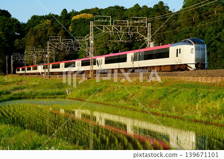 成田快車掠過稻田 成田快車掠過稻田 139671101