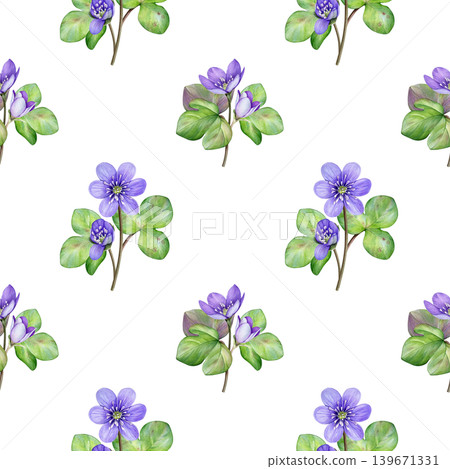 Spring flowers. Watercolor seamless pattern with purple anemone hepatica flowers and green liverwort leaves. Perfect for fabric, wallpaper, packaging and stationery. Spring flowers. Watercolor seamless pattern with purple anemone hepatica flowers and green liverwort leaves. Perfect for fabric, wallpaper, packaging and stationery. 139671331