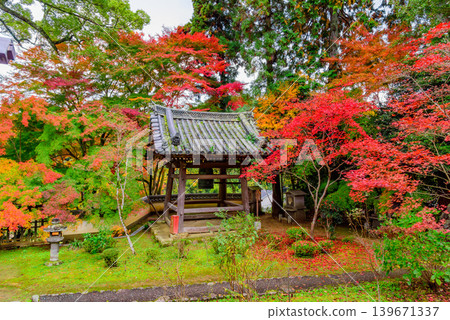 京都,壽林寺(成平寺):鐘樓被絢麗的秋葉環繞,構成了一幅寧靜的景象。 京都,壽林寺(成平寺):鐘樓被絢麗的秋葉環繞,構成了一幅寧靜的景象。 139671337