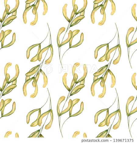 Watercolor yellow maple seeds seamless pattern on isolated background. Samara on branch illustration. Autumn acer wings for natural textile design, repetitive wallpaper, eco friendly surface Watercolor yellow maple seeds seamless pattern on isolated background. Samara on branch illustration. Autumn acer wings for natural textile design, repetitive wallpaper, eco friendly surface 139671375