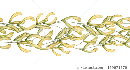 Seamless floral border with watercolor maple seeds. Decorative plant pattern with winged samara on isolated background. Decorative ornate for framing, invitation and seasonal fall design Seamless floral border with watercolor maple seeds. Decorative plant pattern with winged samara on isolated background. Decorative ornate for framing, invitation and seasonal fall design 139671376