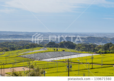 靜岡縣磐田市的茶園景觀 靜岡縣磐田市的茶園景觀 139671560