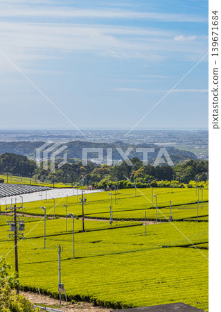 A landscape of tea plantations in Iwata City (Shizuoka Prefecture) A landscape of tea plantations in Iwata City (Shizuoka Prefecture) 139671684
