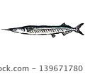 新鮮食材，包括秋刀魚 139671780