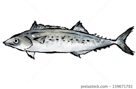 Fresh Spanish mackerel 139671781