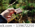 Man holding chocolate biscuit in forest. Outdoor snack break with blurred green nature background, food and relaxation concept 139672250