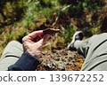 Man holding chocolate biscuit in forest. Outdoor snack break with blurred green nature background, food and relaxation concept 139672252