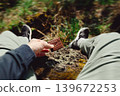 Man holding chocolate biscuit in forest. Outdoor snack break with blurred green nature background, food and relaxation concept 139672253