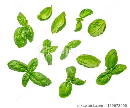 Fresh basil leaves isolated on white background collection top view Fresh basil leaves isolated on white background collection top view 139672496